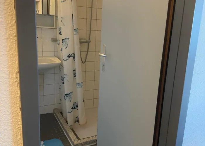 Apartamento Haus Wogesa - Charmingstay *